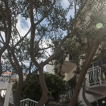 Vongula * טרוגיר